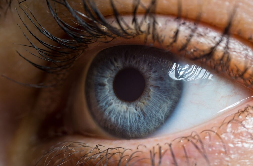 A close up of an eye